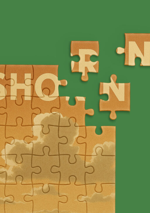 Puzzel Dirkshorn